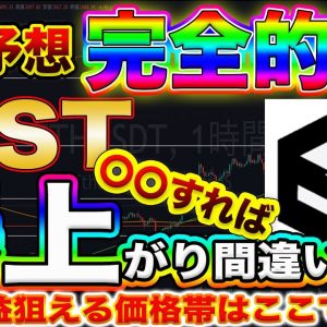 【大暴騰の前兆】IOST爆上がり目前!この動きをしたら購入するだけで億れます!