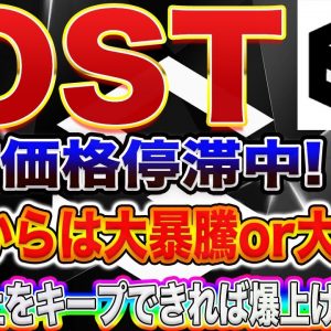 【IOST大暴落寸前!?】IOSTこのラインを守り切れば爆上げ必至!超重要ラインをプロトレーダーが徹底解説します!【仮想通貨】