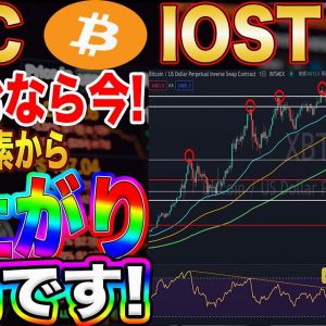 【BTC,IOST】購入するか迷われてる方必見!これからビットコインが爆上がりする可能性かなり高いです!【仮想通貨】