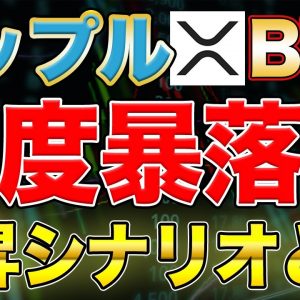 【暴落】特定の条件下で再度上昇する可能性も【リップル,ビットコイン,仮想通貨】