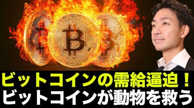 ビットコインの需給が逼迫で上昇期待は高まる！仮想通貨市場はビットコインを追いかける！