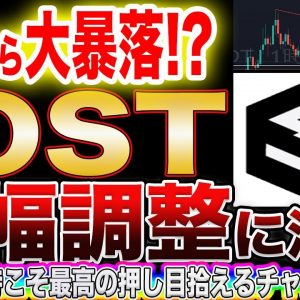 【大暴落注意】IOST黄色信号!今安易にポジションを持つと大幅に資産が減る可能性大!これからの相場観をプロトレーダーが徹底解説!【仮想通貨】