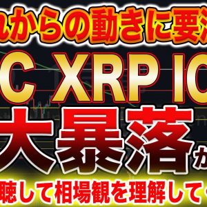 【即視聴推奨です!】これから更にもう一段下げ!?今の相場観をプロトレーダーが徹底解説します!【仮想通貨】【ビットコイン】【XRP】【IOST】