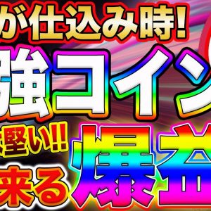 【仕込むなら今】まだほとんど注目されていません!今後100倍以上のリターンが期待できる仮想通貨を紹介します。【仮想通貨】