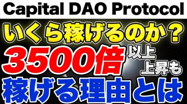 【爆上げ】キャピタルダオの収益シミュレーション 一体いくら儲けられるのか？【350000%】【Capital DAO Protocol】