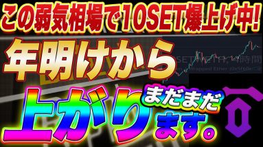 【10セットの一人勝ち】この弱気相場でテンセットが爆上げ中!購入検討中の方は急いで購入してください!【仮想通貨】【メタバース】