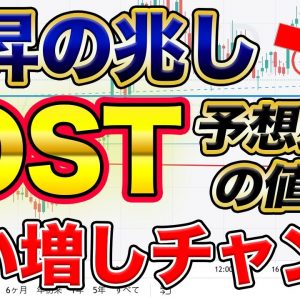 【チャンス】IOSTが再度上昇の兆し 絶好の買いタイミングの可能性