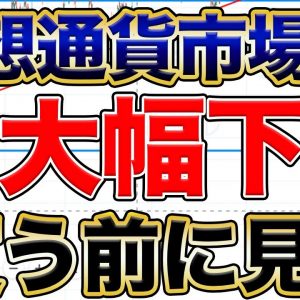 【予想通り】仮想通貨暴落 ビットコイン/リップル/IOST まだまだ下がる可能性