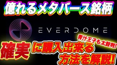 あの青汁王子も気になっているメタバース銘柄『Everdome』これから爆益が狙えるトークンを確実に入手する方法を教えます!【仮想通貨】【メタバース】