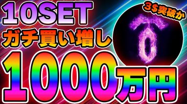 【10SET】ガチ投資！値上がりに期待して1000万円分を購入してみた結果...【エバードーム】【メタバース】