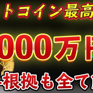 【1BTC=3000万円】ビットコインが年内に3000万円に到達か 根拠も交えて全て解説【仮想通貨】