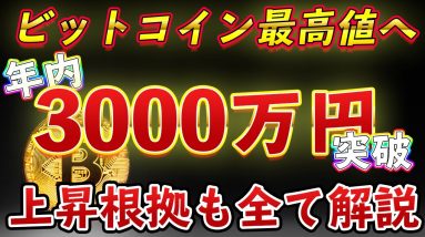 【1BTC=3000万円】ビットコインが年内に3000万円に到達か 根拠も交えて全て解説【仮想通貨】