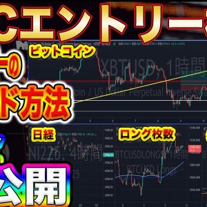 【BTCトレード】億トレーダーの脳内完全移植!これを見ればビットコイン投資の考え方ガラリと変わります!【仮想通貨】【FX】