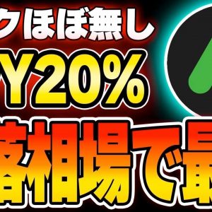 【Anchor Protocol】ステーブルコインで年利20%！下落相場で最強の資産構築方法を解説