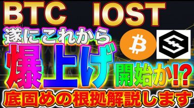 【パレットトークン配布開始】ビットコイン、IOSTは底固め完了!?現物仕込みたい方は必見です!【仮想通貨】