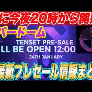 今夜からのプレセールはこの動画を見れば大丈夫!10セット側エバードームのプレセール情報解禁!!この動画で『購入方法・事前準備・注意事項』を解説します!【仮想通貨】【Everdome】