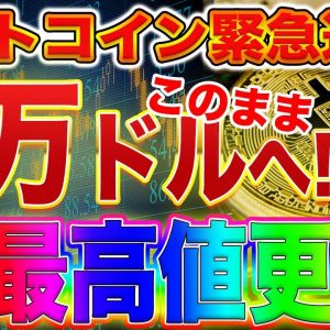 ビットコイン遂に史上最高値更新!まじで年内9万ドル射程圏内!これからの値動きや押し目のラインをプロトレーダーが教えます!【仮想通貨】