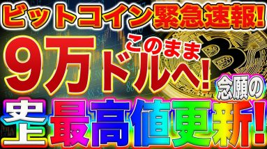 ビットコイン遂に史上最高値更新!まじで年内9万ドル射程圏内!これからの値動きや押し目のラインをプロトレーダーが教えます!【仮想通貨】