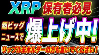 【XRPに一体何が⁉︎】リップル遂に本領発揮!超激アツファンダで爆上がり中!リップル保有者もそうでない方も今が大チャンスです!【仮想通貨】【ビットコイン】