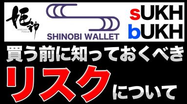 【姫神プロトコル】リスク面や頂いたご質問などについて解説【UKHトークンQ&A】