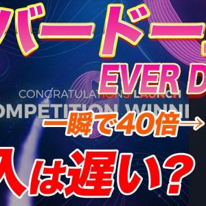 【遂に上場】メタバース銘柄筆頭『EVERDOME』遂にOKXに上場へ!!今後の見解・購入の仕方をこの動画で解説します!【仮想通貨】【メタバース】