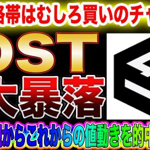 【バブル崩壊⁉︎】ビットコイン、IOST軒並み大暴落!億り人になりたいなら今の価格帯はむしろチャンスしかありません!爆益狙えるポイント教えます!【仮想通貨】