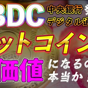 ビットコインの価値が無くなる？ デジタル人民元・デジタルユーロについて【仮想通貨】