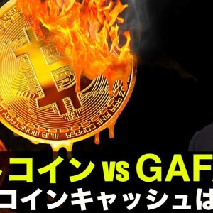 ビットコインキャッシュは失敗作！ビットコインvsGAFAM！？