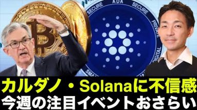 今週の重要イベントの確認！カルダノ・Solanaに不信感⁉️