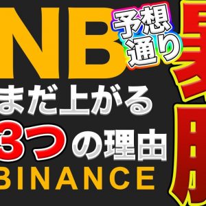 【BNB】バイナンスコイン暴騰 今後も上昇する3つの根拠
