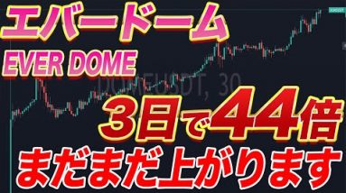 【止まらない上昇】史上最高値更新!!『EVERDOME』どこまで上がる⁉︎これからの値動きを徹底解説します。【仮想通貨】【メタバース】