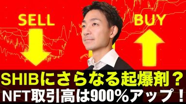 SHIBに新たな起爆剤？NFT取引高は９００％アップ！