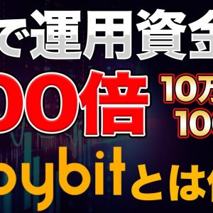 【ByBit】暴落しても大勝ち出来るByBitとは 1万円でも100万円分の仮想通貨がえるByBitの登録方法について リスクヘッジのやり方と稼ぎ方とは