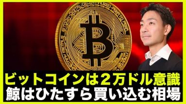 ビットコインは２万ドル意識！鯨はビットコインを買い込む