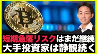 仮想通貨の急落リスクは続く。大手投資家の静観は継続。