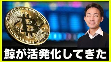 鯨がビットコイン取引を活発化！