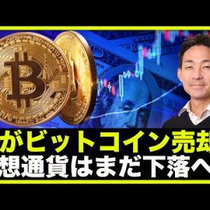 ビットコインを鯨が売却‼️仮想通貨はまだ下落へ！