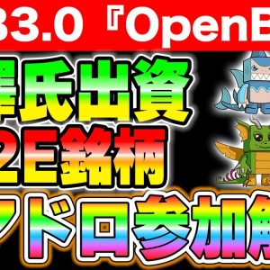 【OpenBlox】ZOZO前澤さんが出資決定！期待のWEB3.0銘柄とM2E銘柄について解説！