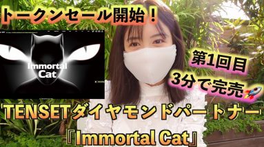 【TENSETダイヤモンドパートナー】Immmortal Cat(イモータルキャット)ICCトークンセール開始！！！第1回目はなんと3分で完売の大人気！公認インフルエンサーに選ばれました♪仮想通貨情報