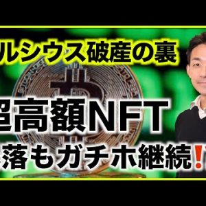 セルシウス破産の裏話！超高額NFTは暴落続くもガチホ継続？