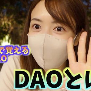 DAO(ダオ)とは？イメージで覚える『DAO』！仮想通貨初心者でも１発で理解できる超わかりやすい解説動画！