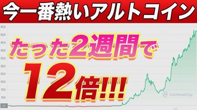 【まだ間に合います】今から買っておけば爆益間違いなし⁉︎個人的にかなり注目しているアルトコインを紹介します。【仮想通貨】