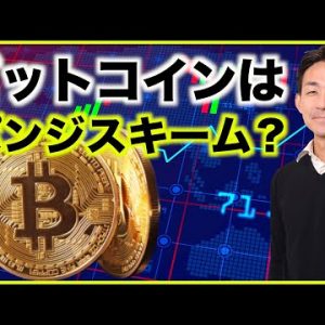 ビットコインはポンジスキーム。