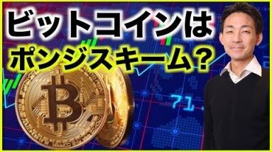 ビットコインはポンジスキーム。