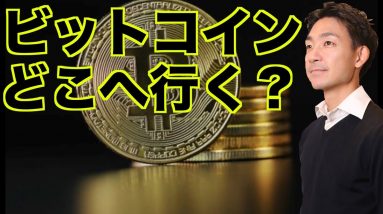 仮想通貨・ビットコインはどこへ行く？