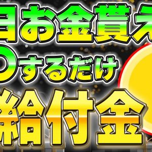 【リスクゼロ】10億ドル企業から毎日お金が貰える給付金プロジェクトを教えます。