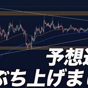 【まだ間に合う】この通貨買っておけば大丈夫です。【仮想通貨】