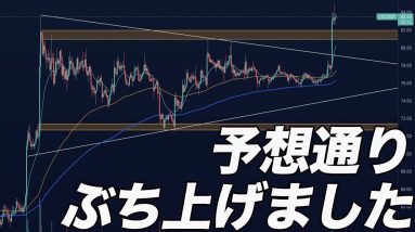 【まだ間に合う】この通貨買っておけば大丈夫です。【仮想通貨】