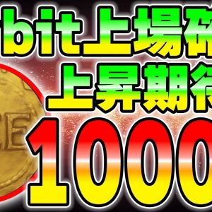 【IEO】平均の上昇率1000%の銘柄を手に入れる方法を解説します。