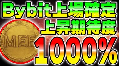 【IEO】平均の上昇率1000%の銘柄を手に入れる方法を解説します。